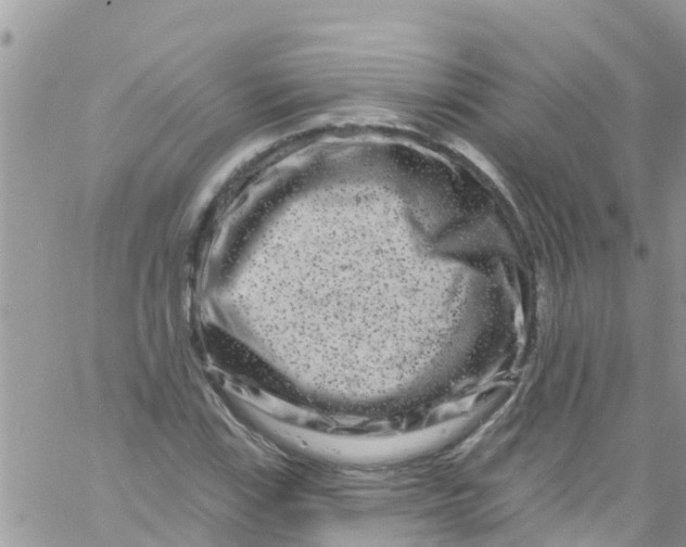 X0000061151115200512091952