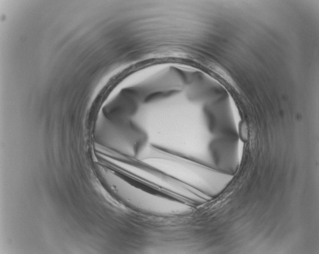 X0000061151116200512091952