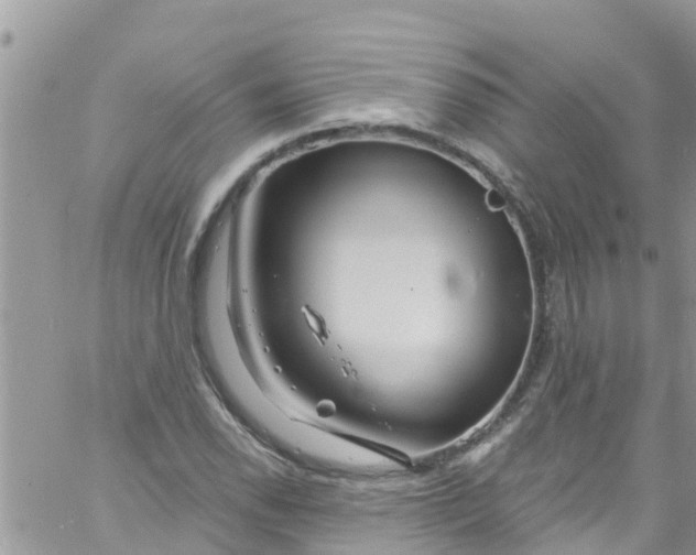 X0000061151118200512091952