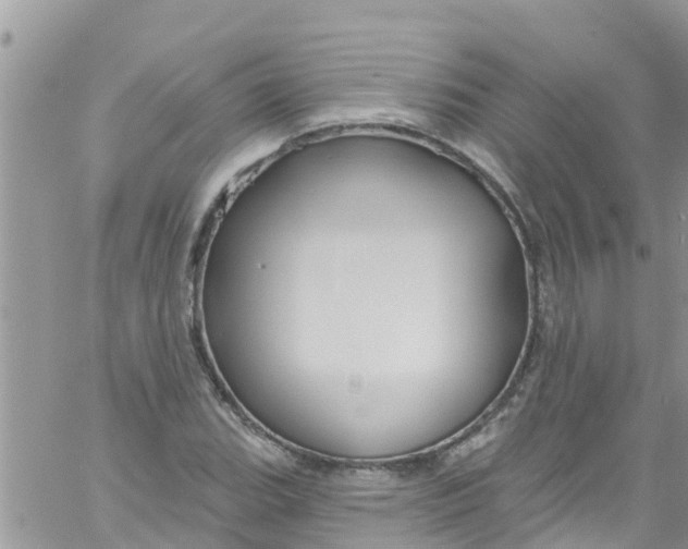 X0000061151119200512091952