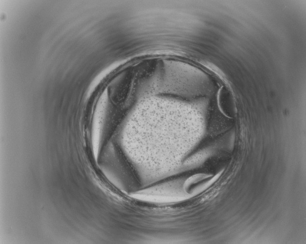 X0000061151120200512091952