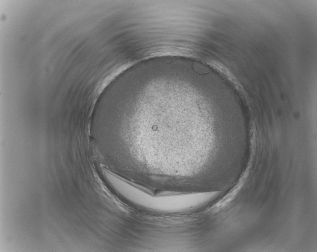 X0000061151121200512091952