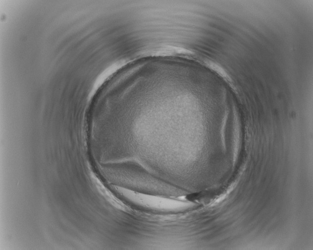 X0000061151122200512091952