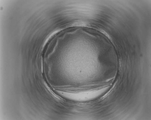 X0000061151123200512091952