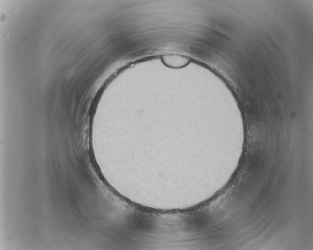 X0000061151126200512091952