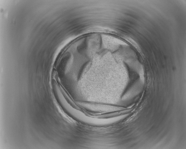 X0000061151128200512091952