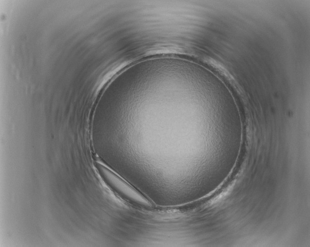 X0000061151129200512091952