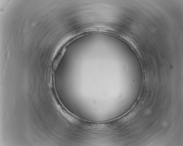 X0000061151131200512091952