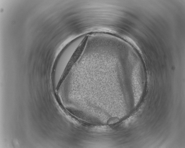 X0000061151133200512091952