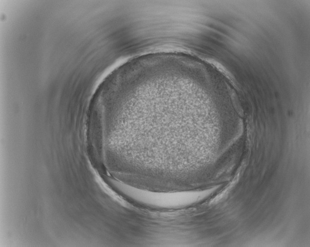 X0000061151134200512091952