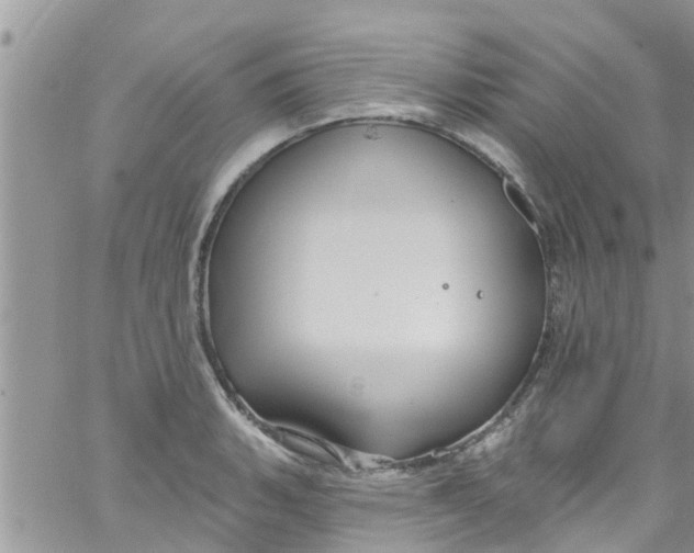 X0000061151135200512091952