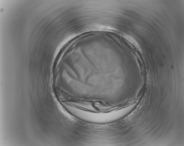 X0000061151136200512091952