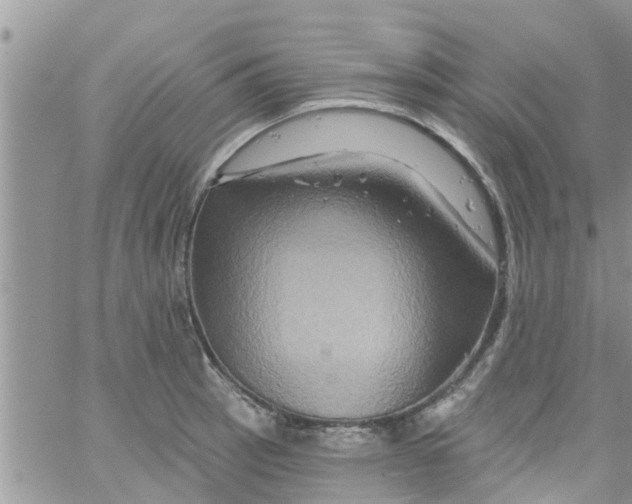 X0000061151137200512091952