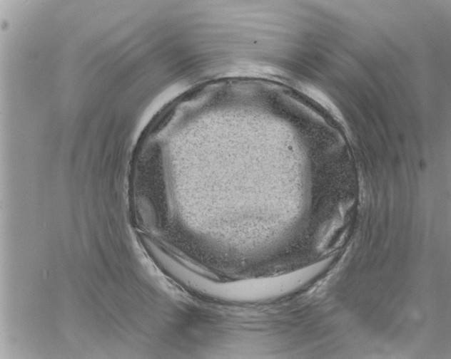 X0000061151138200512091952