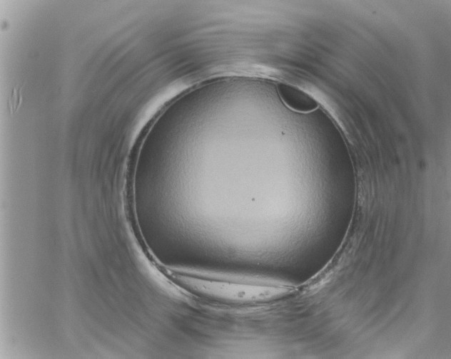 X0000061151139200512091952