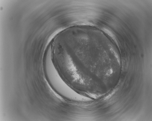 X0000061151141200512091953