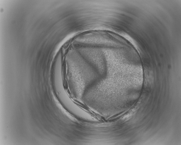 X0000061151142200512091953