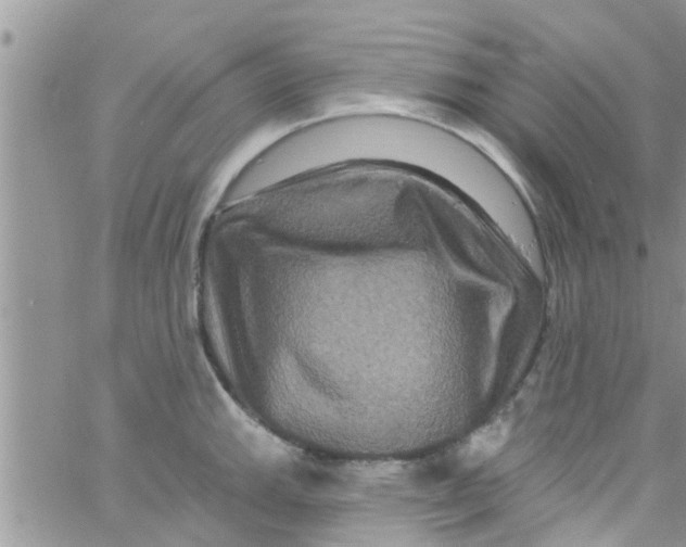 X0000061151143200512091953