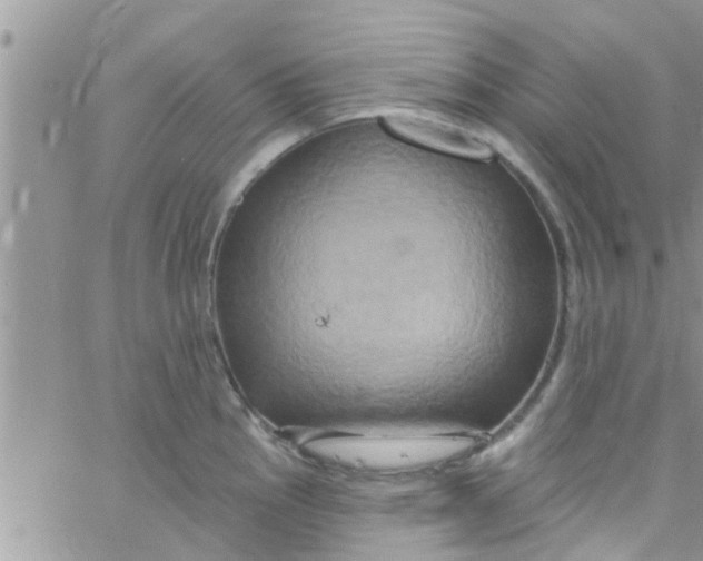 X0000061151145200512091953