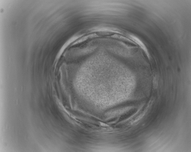 X0000061151146200512091953