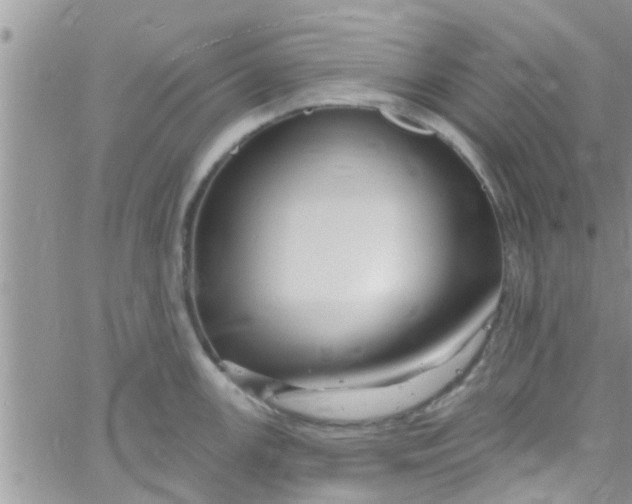 X0000061151147200512091953