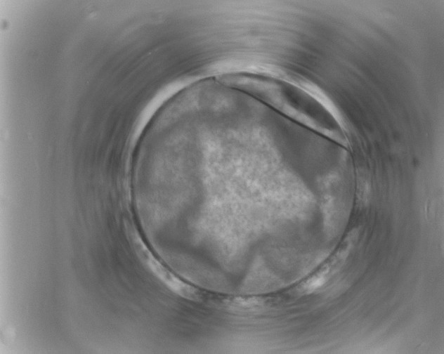 X0000061151148200512091953