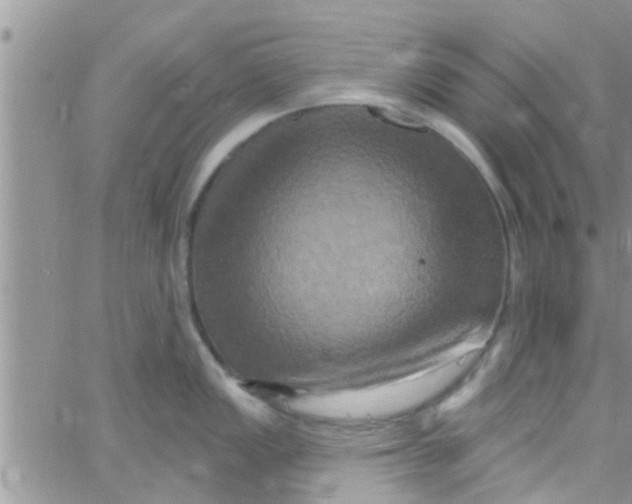 X0000061151149200512091953