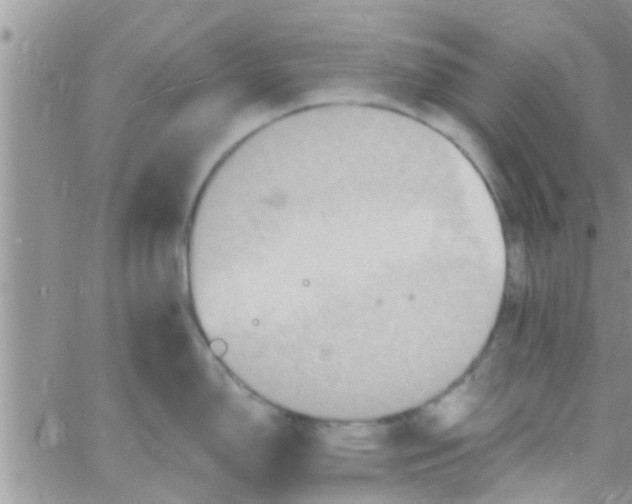 X0000061151150200512091953