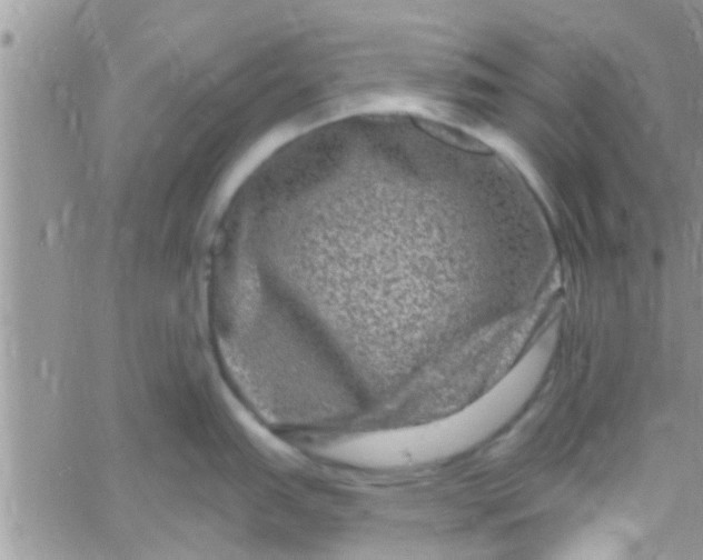 X0000061151151200512091953