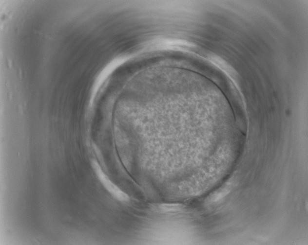 X0000061151152200512091953