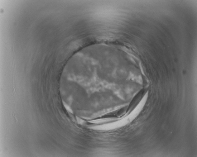 X0000061151153200512091952