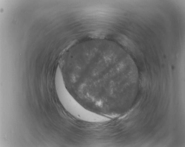 X0000061151154200512091952