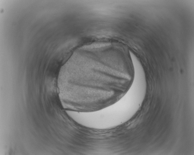 X0000061151156200512091952