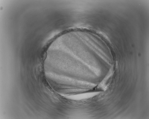 X0000061151159200512091952