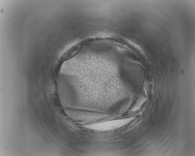 X0000061151160200512091952