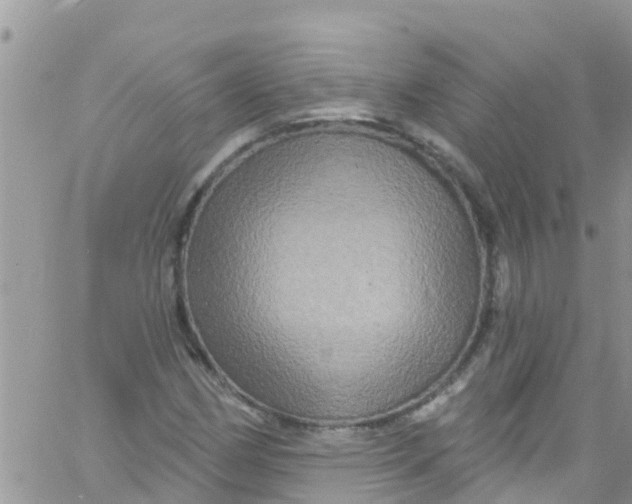 X0000061151162200512091952