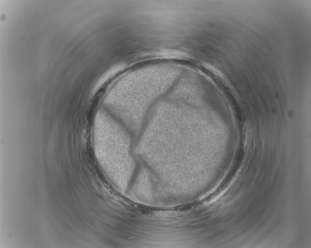 X0000061151163200512091952