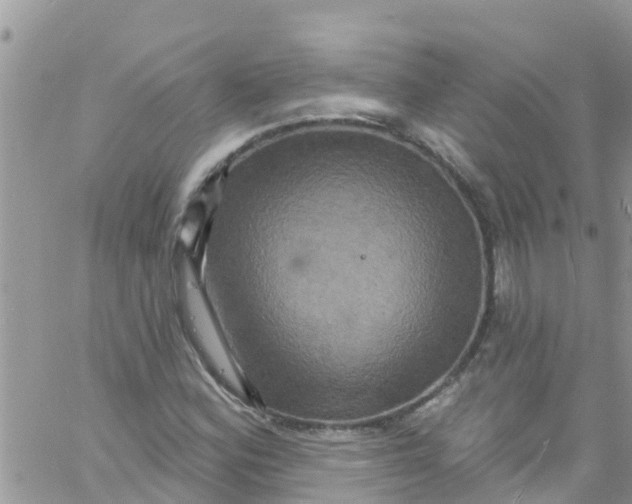 X0000061151164200512091952