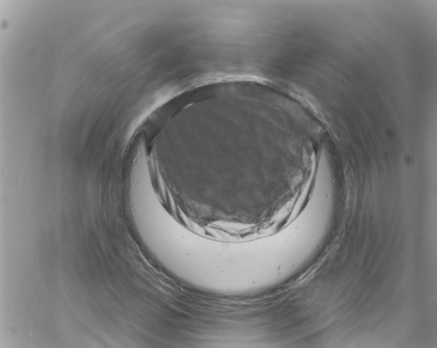 X0000061151165200512091952