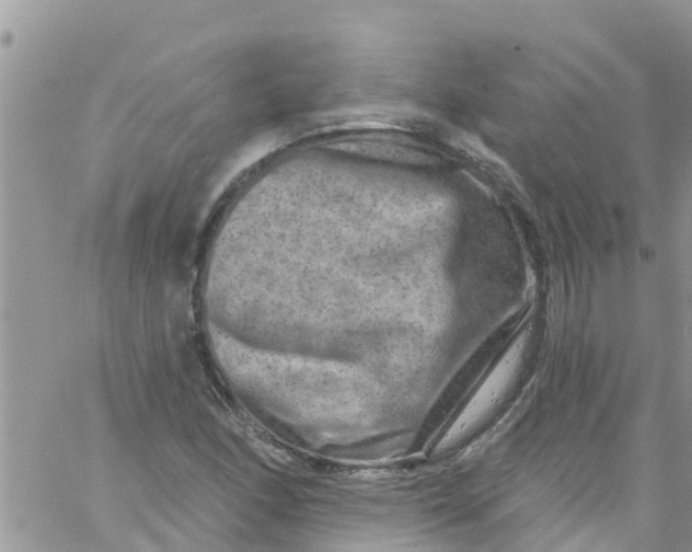 X0000061151166200512091952