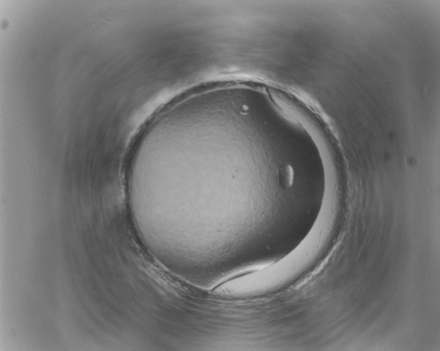 X0000061151167200512091952