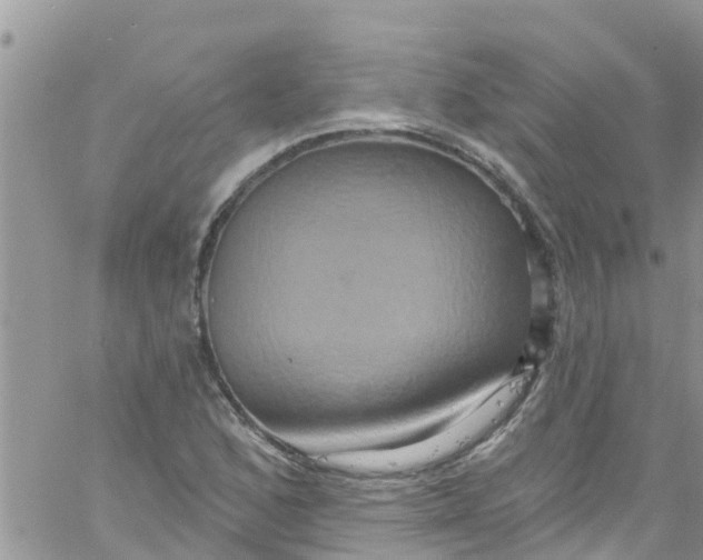 X0000061151168200512091952