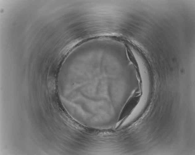 X0000061151169200512091952