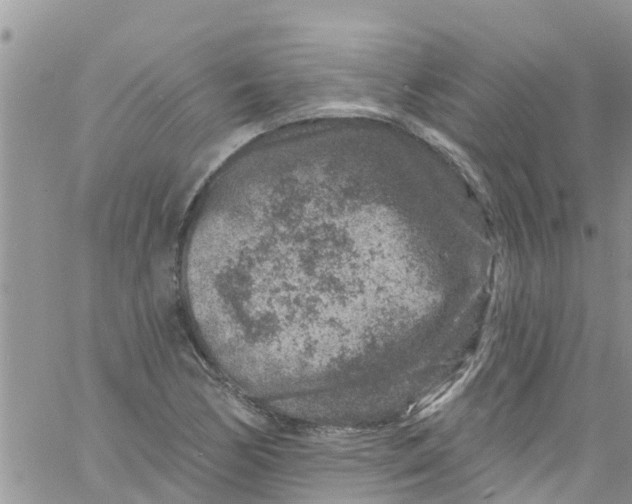 X0000061151170200512091952