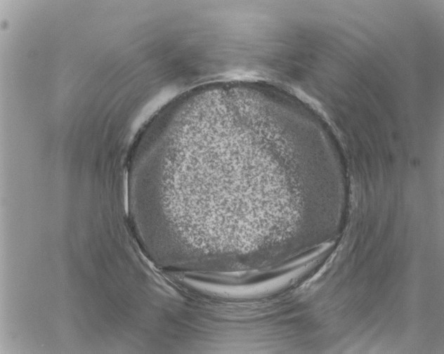 X0000061151171200512091952