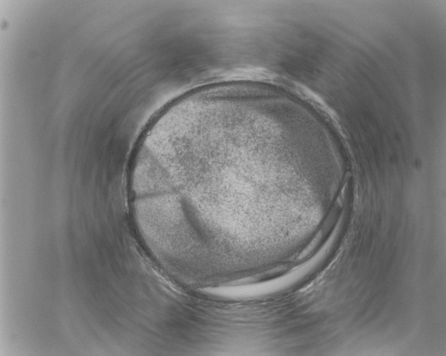 X0000061151174200512091952