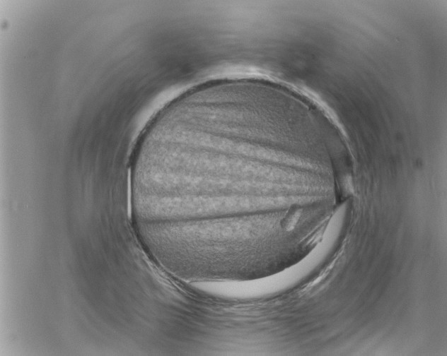 X0000061151175200512091952