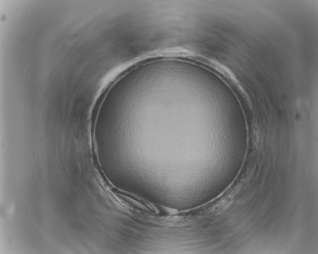 X0000061151176200512091952