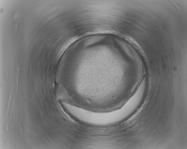 X0000061151177200512091952