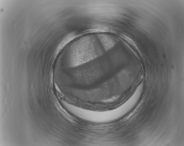 X0000061151179200512091951